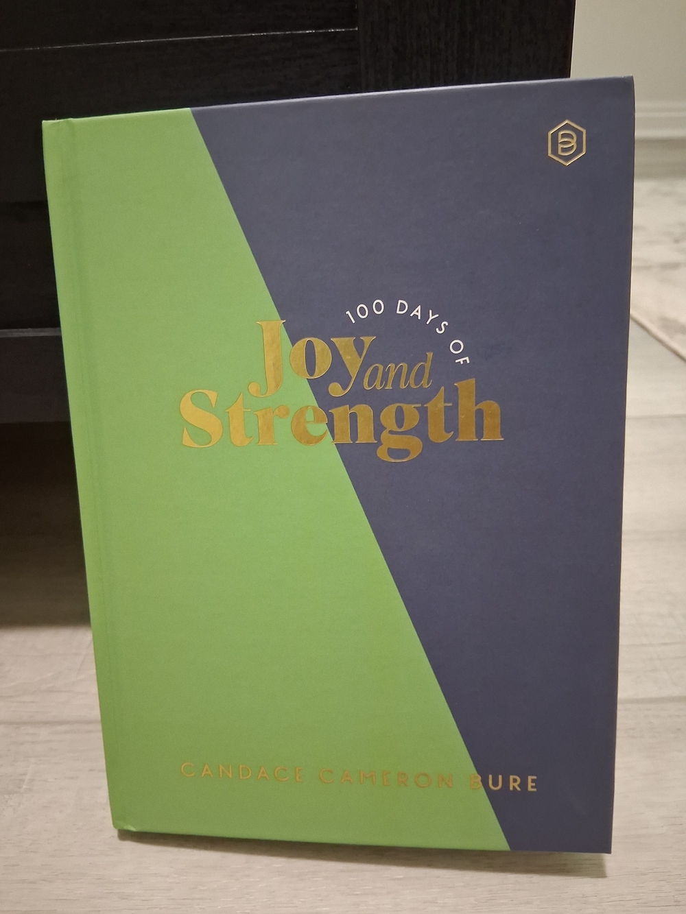 100 Days of Joy and Strength Hardcover Journal - Green & Navy